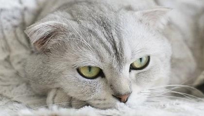 17c官网：越看越不对劲，视频教程刷着刷着我就不对劲了这算不算被坑了？