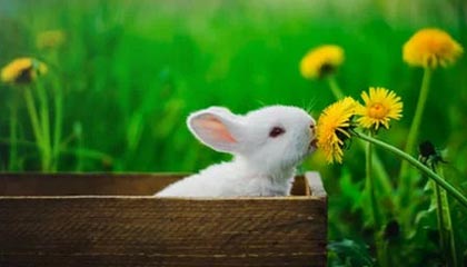 17c官网:越看越不对劲,视频教程刷着刷着我就不对劲了这算不算被坑了?