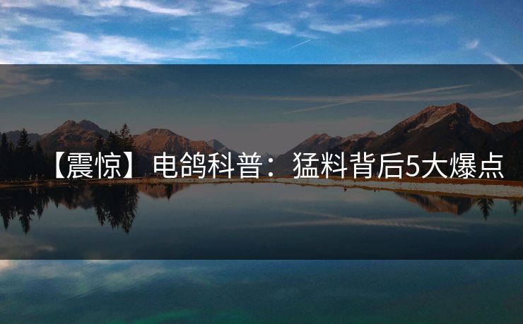 【震惊】电鸽科普：猛料背后5大爆点