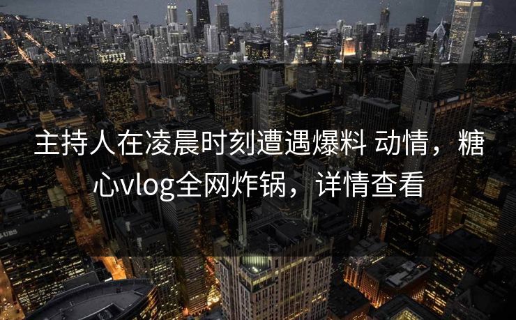 主持人在凌晨时刻遭遇爆料 动情，糖心vlog全网炸锅，详情查看