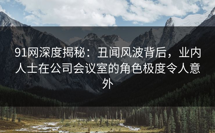 91网深度揭秘：丑闻风波背后，业内人士在公司会议室的角色极度令人意外