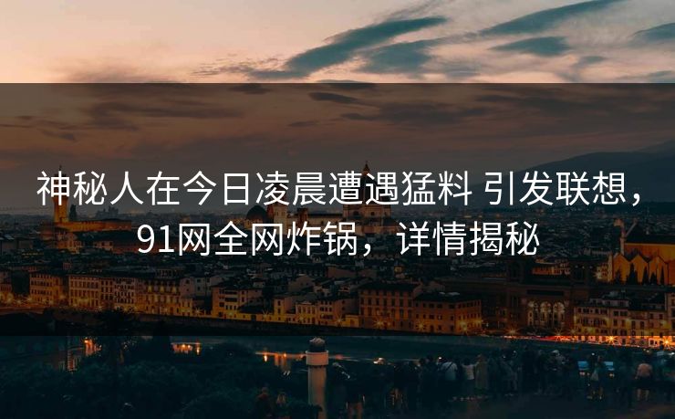 神秘人在今日凌晨遭遇猛料 引发联想，91网全网炸锅，详情揭秘